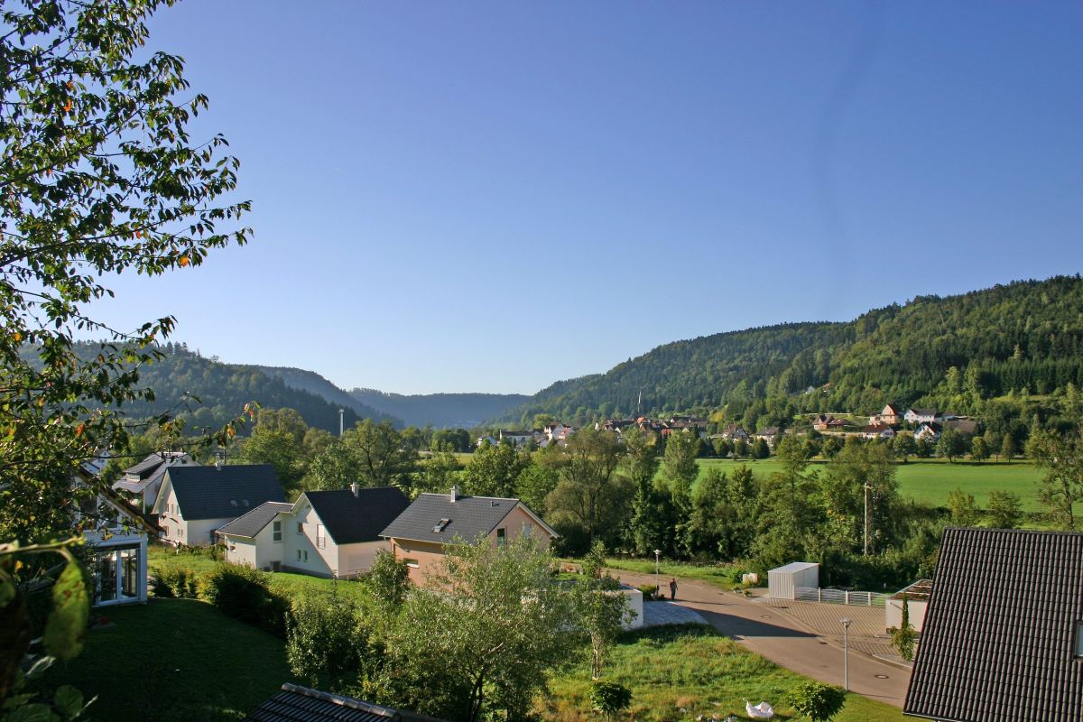 Neckartal bei Oberndorf
